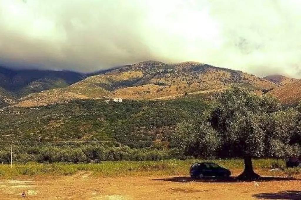 The Olive Grove Dom wakacyjny Borsh